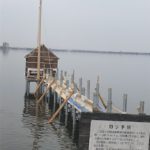 東郷湖四ツ手網が復活します。